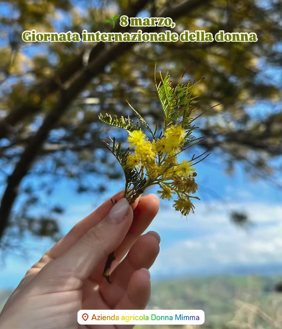 8 Marzo giornata internazionale della donnaV2